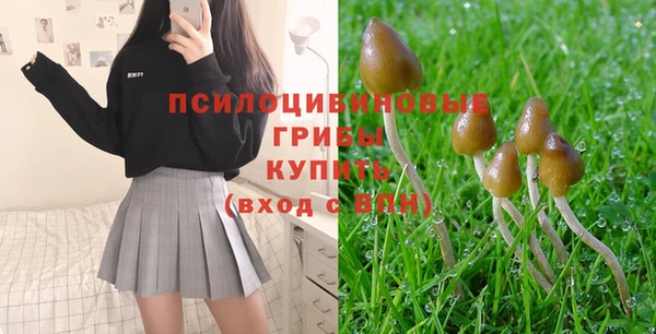 соль ск Верхний Тагил