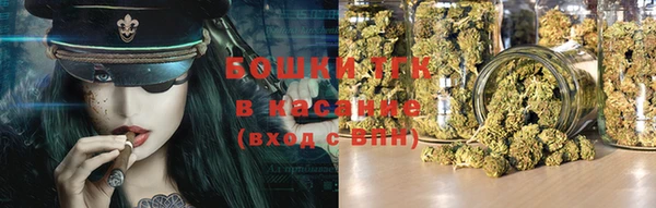 соль ск Верхний Тагил